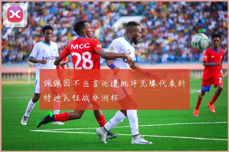 佩佩因不当言论遭批评无缘代表科特迪瓦征战非洲杯
