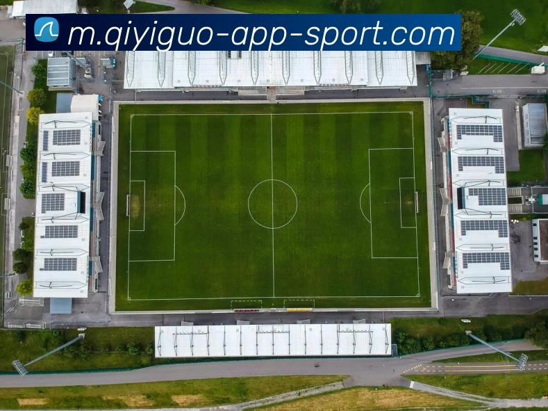 奇异果体育发展历程